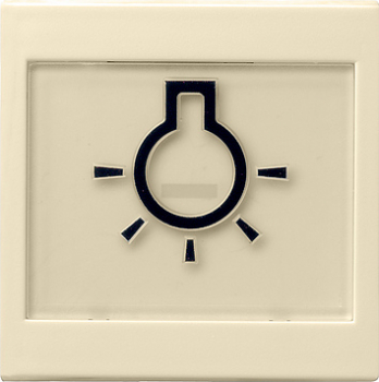 GIRA 021601 Wippe Licht