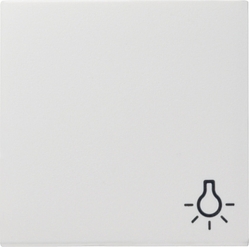 Gira 028503 Wippe Taster Symbol Licht