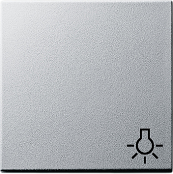 GIRA 028526 Wippe Taster Symbol Licht