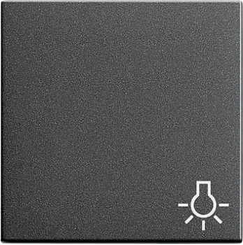 GIRA 028528 Wippe Taster Symbol Licht