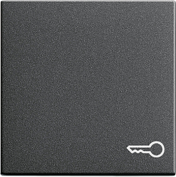 GIRA 028728 Wippe Taster Symbol Tür