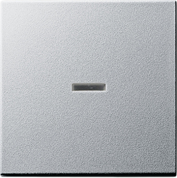 GIRA 029026 Wippe Kontrollschalter