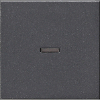 GIRA 029028 Wippe Kontrollschalter