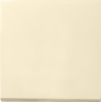 GIRA 029601 Wippe Wechselschalter