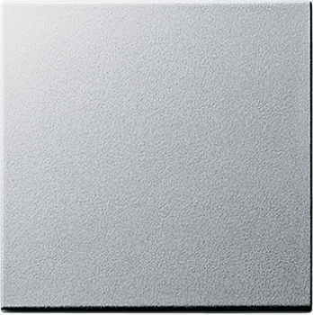GIRA 029626 Wippe Wechselschalter