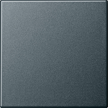 GIRA 029628 Wippe Wechselschalter