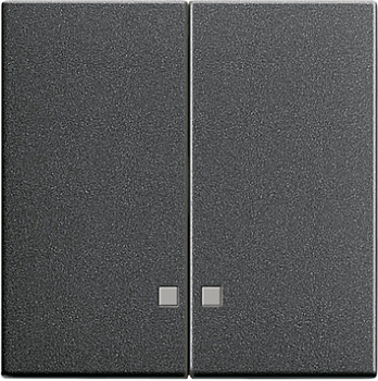 GIRA 063128 Wippe Serienschalter Kontroll