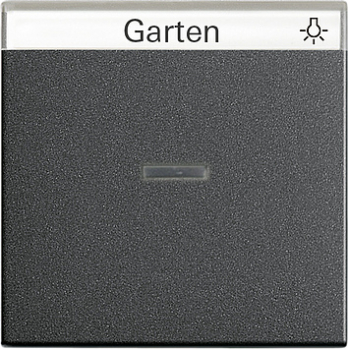 GIRA 067028 Wippe Kontrollschalter