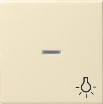 GIRA 067401 Wippe Licht