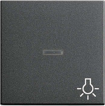 GIRA 067428 Wippe Licht