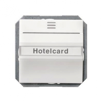 Siemens 5TG4820 DELTA i-system HotelCard-Schalter titanweiß