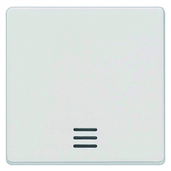 Siemens 5TG6200 DELTA i-system Wippe m.Fenster 55x55mm titanweiß