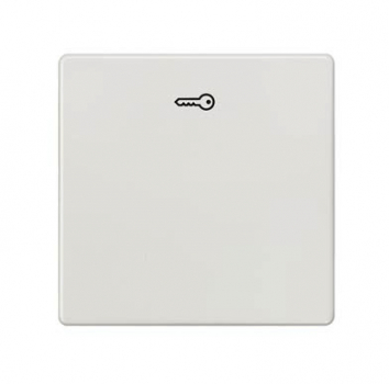 Siemens 5TG6208 DELTA i-system Wippe mit Symbol Türöffner titanweiß