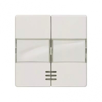Siemens 5TG6213 DELTA i-system Wippe mit Fenster Schild titanweiß