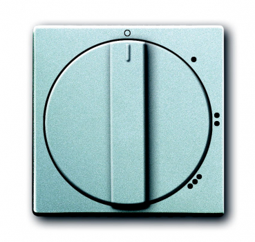 Busch Jaeger Zentralscheibe 2542 DR/01-83