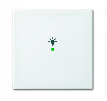 Wippe, 1-fach, mit Symbol 
