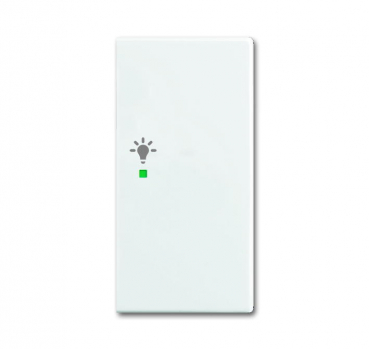 Wippe, 2-fach rechts, Symbol "Licht" 6231-22-914