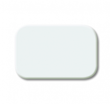 Tastersymbol, neutral 2525 N-214