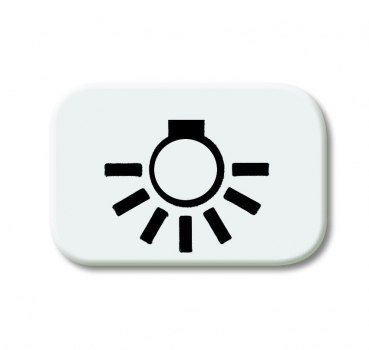 Tastersymbol, "Licht" 2525 LI-214