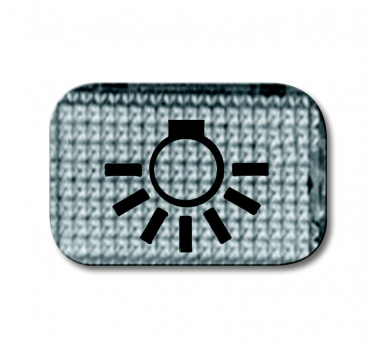 Tastersymbol, transparent, "Licht" 2145 LI