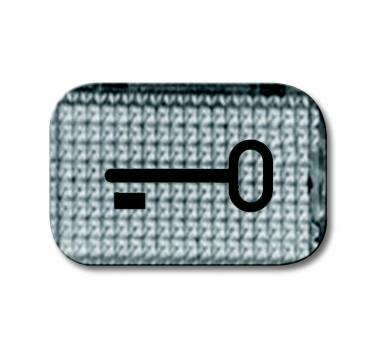 Tastersymbol, transparent, "Schlüssel" 2145 TR