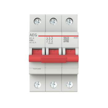 AEG Hauptschalter 63A