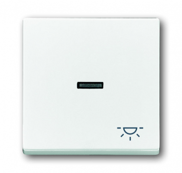 Busch Wippe Licht 1789 LI-84