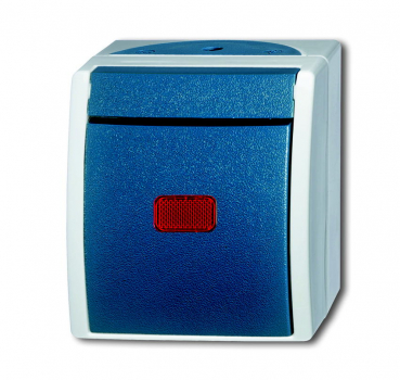 Busch Kontrollschalter 2601/6 SKW-53