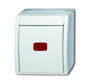 Busch Kontrollschalter 2601/6 SKW-54