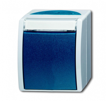 Busch Wechselschalter 2601/6 W-53