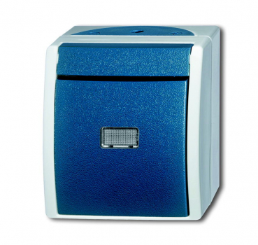 Busch Taster Schließer 2621 WGL-53
