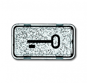 Tastersymbol Schlüssel 2622 TR-101