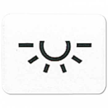 Jung 33L Symbol 