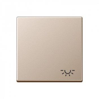 Jung A590LCH Wippe m. Symbol 