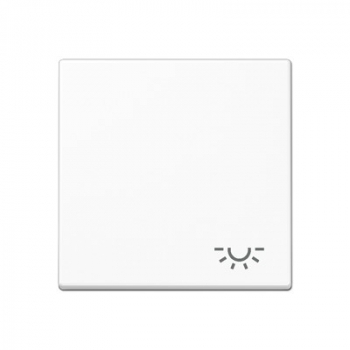 Jung A590LWW Wippe m. Symbol 