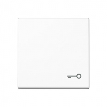 Jung A590TWW Wippe m. Symbol 