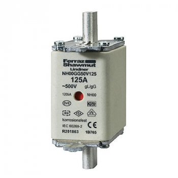 NH 00 Sicherungseinsatz 125A gl/gG 500V