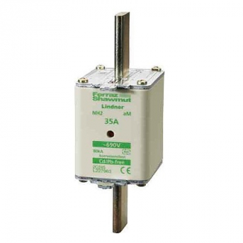 NH 2 Sicherungseinsatz 125A gL/gG 500V