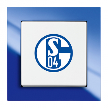 Busch 2000/6UJ/02 Fanschalter Schalke 04