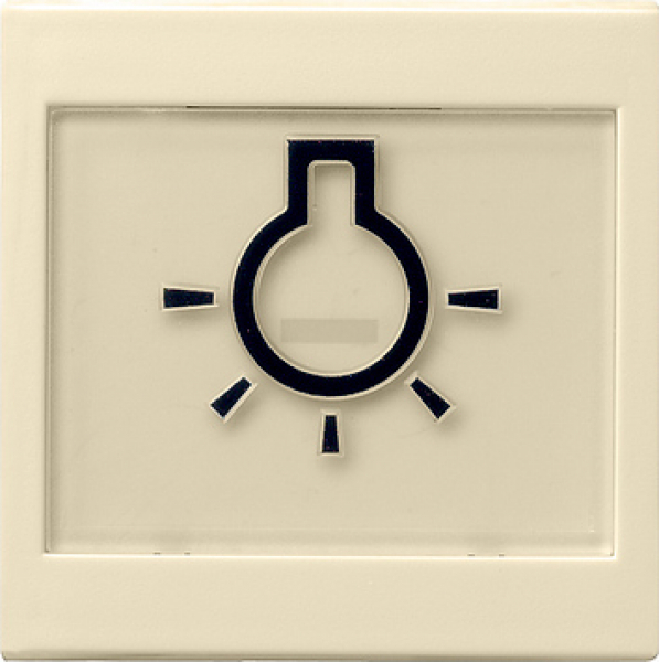 GIRA 021601 Wippe Licht
