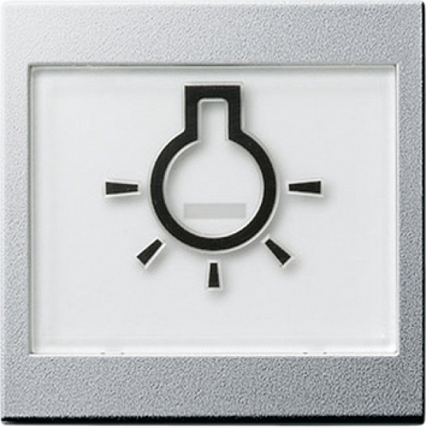 GIRA 021626 Wippe Licht