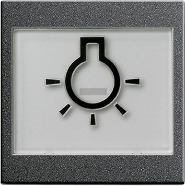 GIRA 021628 Wippe Licht