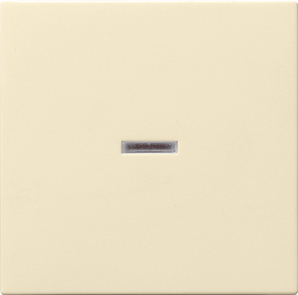 GIRA 029001 Wippe Kontrollschalter