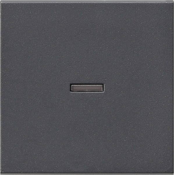 GIRA 029028 Wippe Kontrollschalter
