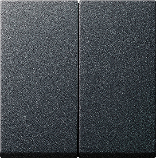 GIRA 029528 Wippe Serienschalter