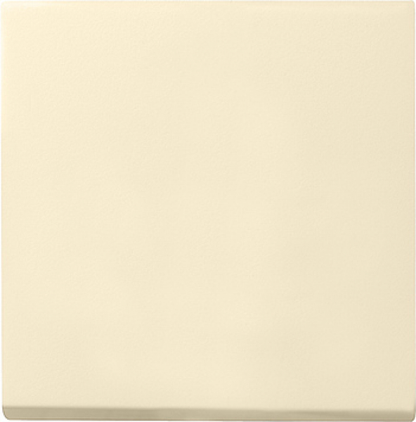 GIRA 029601 Wippe Wechselschalter