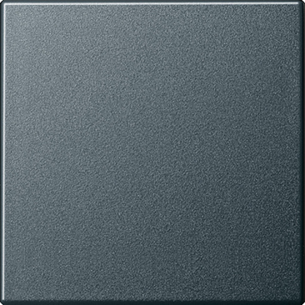 GIRA 029628 Wippe Wechselschalter