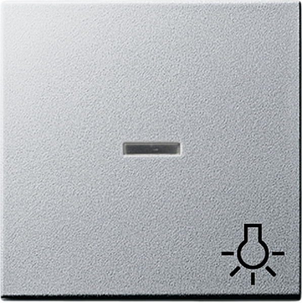 GIRA 067426 Wippe Licht