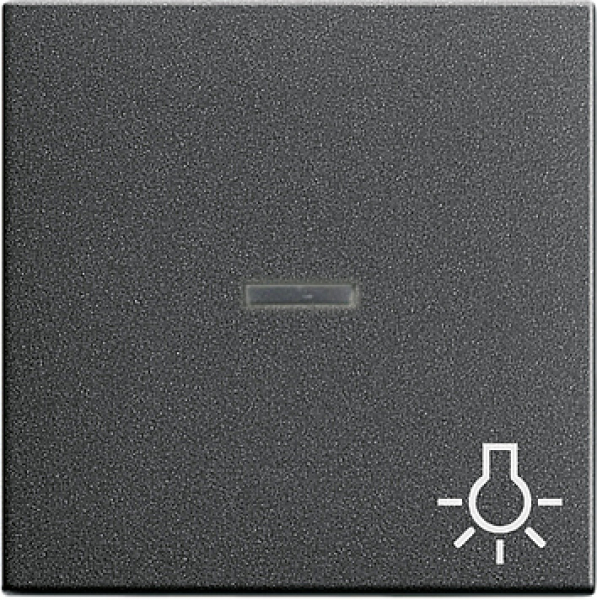 GIRA 067428 Wippe Licht