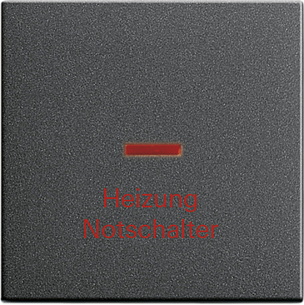 GIRA 067828 Wippe Heizungs-Notschalter